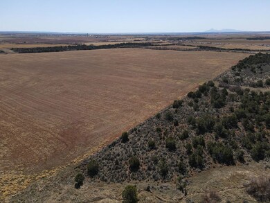 0 Tbdwp Highway 141, Dove Creek, CO 81324 - photo 7