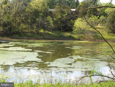 9245 Lee Hwy, Warrenton, VA 20186 - photo 5