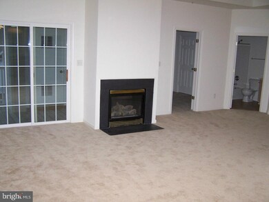 9685 Devedente Dr unit ., Owings Mills, MD 21117 - photo 6