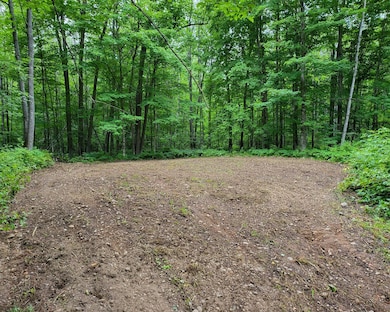 TBD Dream Lake Rd unit Lot 2, Long Lake T-Wi, WI 54542 - photo 7
