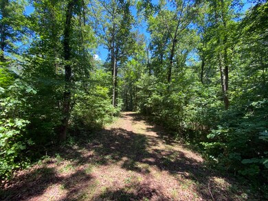 13 & 13A River Trail, Martin, GA 30557 - photo 6