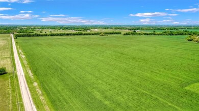 TBD B E Line Rd, Whitewright, TX 75491 - photo 3