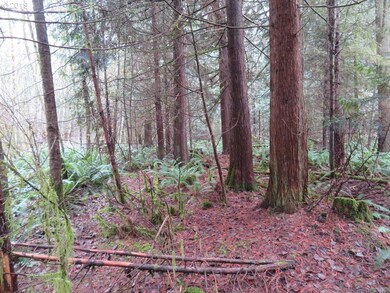 0 Cousins Rd unit 19109688, Chehalis, WA 98532 - photo 6