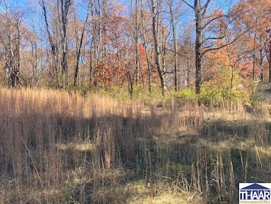 0 S Robinson Place, Sugar Creek Township, IN 47885 - photo 2