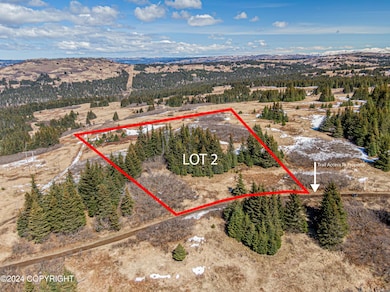 L2 Salin's Spur Rd, Homer, AK 99603 - photo 2