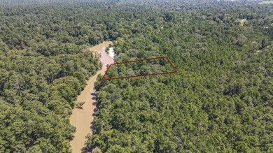 0 Blue Lake Dr unit 42488452, Cypress Point, TX 77336 - photo 5