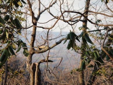 TBD Hughes Shelter Rd, Meadows of Dan, VA 24120 - photo 3