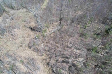 Lot 64 S Barnstead Rd unit 64, Barnstead, NH 03218 - photo 3