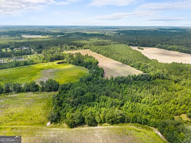 0 Fabled Ln unit LOT 4, Pembroke, GA 31321 - photo 6