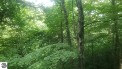 0 Fifth St unit 33, West Branch, MI 48661 - photo 2