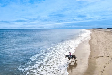 Nauset Beach