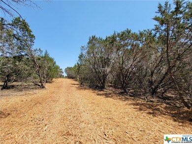14609 Buckhorn Cemetery Rd, Moody, TX 76557 - photo 3