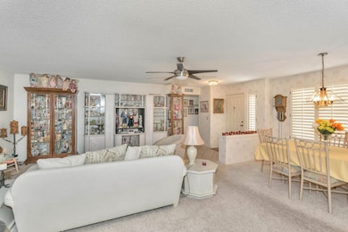 Living /Dining Room