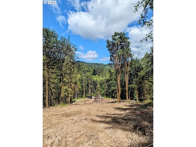 0 NW Cornelius Pass Rd unit 472730222, Portland, OR 97231 - photo 5