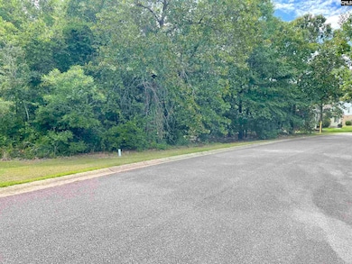 409 Upland Trail Rd, Elgin, SC 29045 - photo 2