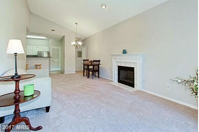 13068 Autumn Woods Way unit 203, Fairfax, VA 22033 - photo 5