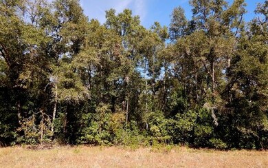 00 280th St, Branford, FL 32008 - photo 2