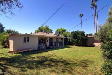 Backyard_3960