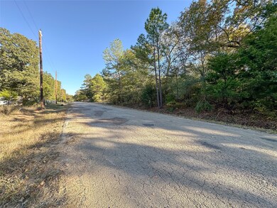 134 Thrush Rd, Mabank, TX 75156 - photo 5