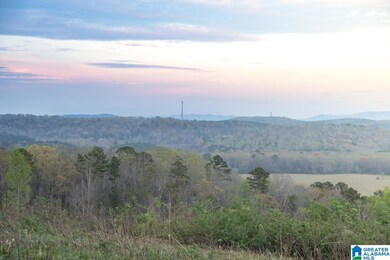 4947 U S 231 unit 5, Vincent, AL 35178 - photo 3