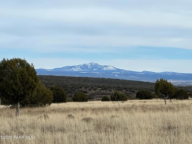 11975 W Dozer Ave, Ash Fork, AZ 86320 - photo 4