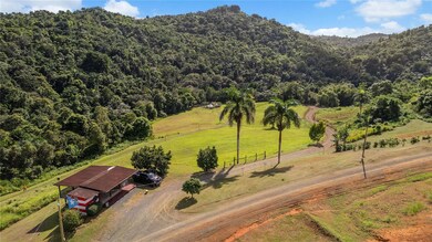 0 Hacienda Cascada unit MFRPR9111722, Aguas Buenas, PR 00703 - photo 7