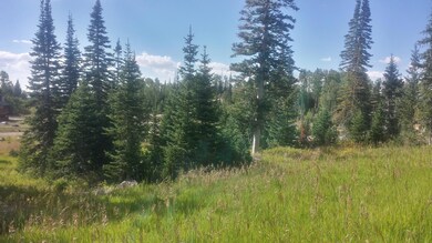 712 E Steam Engine Dr unit SEM 1A-1, Brian Head, UT 84719 - photo 7