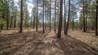 Lot 392 Elk Run Dr, Bend, OR 97707 - photo 5