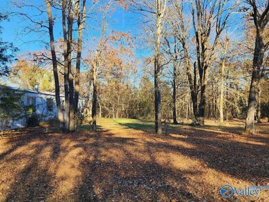 2121 County Road 79, Fort Payne, AL 35967 - photo 4