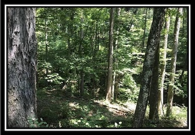 image017