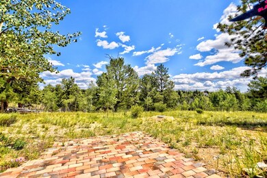 8614 Remington Rd, Como, CO 80432 - photo 6