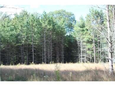 XXX Hay Creek Boulevard Blvd, Grantsburg, WI 54840 - photo 5