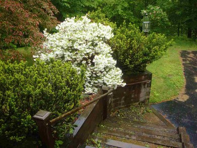 16 Butternut Ridge Rd, Hebron, NH 03241 - photo 4