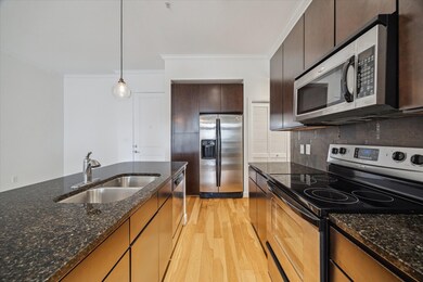 Top of the line stainless electric appliances, sto