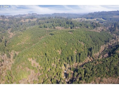 0 NE Cedar Mist Rd, Amboy, WA 98674 - photo 6