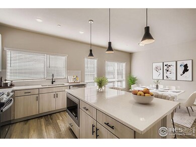 919 Schlagel St unit 7, Fort Collins, CO 80524 - photo 5