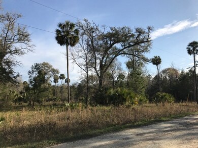 XXX River Plantation Rd, Crawfordville, FL 32327 - photo 2