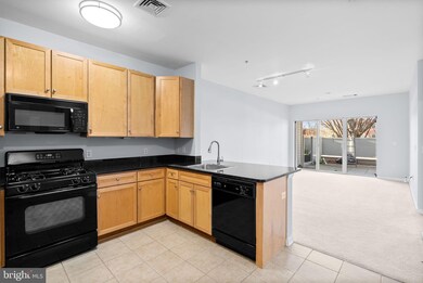8045 Newell St unit 116, Silver Spring, MD 20910 - photo 6
