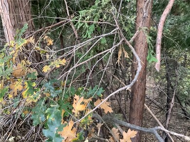 7005 Square Foot Lot or 0.1608 Acres