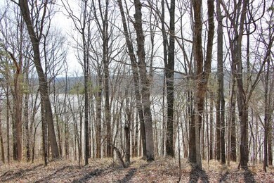 Lots 26 & 27 Cherokee Rd, Lucas, KY 42156 - photo 7