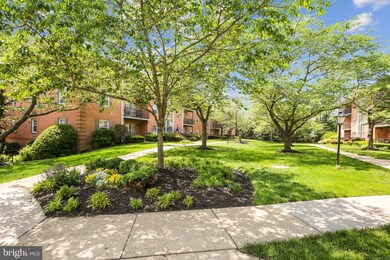 3334 Spring Ln unit B-40, Falls Church, VA 22041 - photo 3