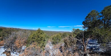 20240328_105346-1024x520