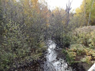 N9656 Cth T, Tomahawk, WI 54487 - photo 3