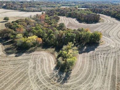 12140 County Loop Rd, Palmyra, IL 62674 - photo 7