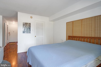 Town Square Towers unit 119, Washington, DC 20024 - photo 7