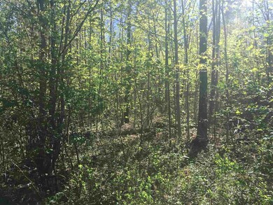 00 Ferno Rd, Williamstown, VT 05679 - photo 4