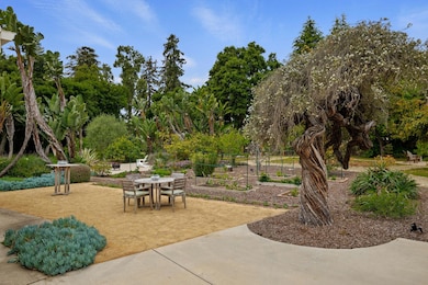 Vegetable Garden