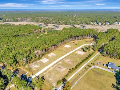 3021 Doar Creek Trail, Awendaw, SC 29429 - photo 4