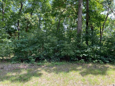 00 Hawkridge Rd unit Lot 41 Hawkridge Wes, Murray, KY 42071 - photo 7