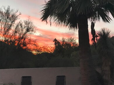 Sunset view from back of home